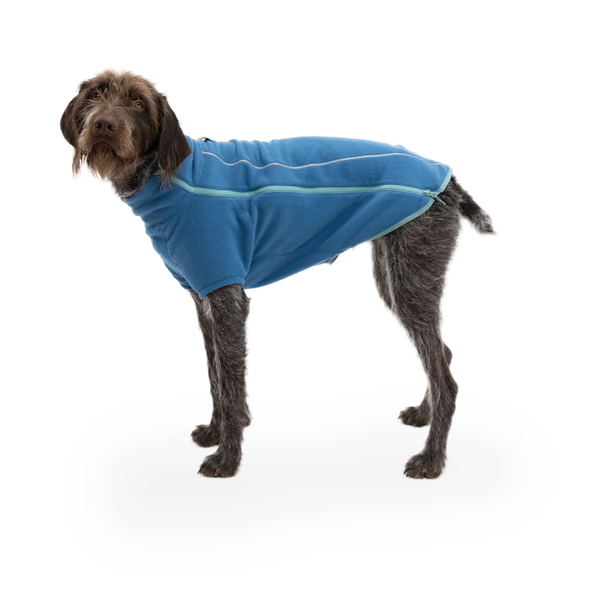 Climate Changer Jacket - Blue Jay - Image 3