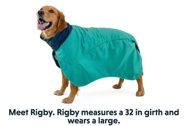 Dirtbag Dog Towel - Aurora Teal - Image 4