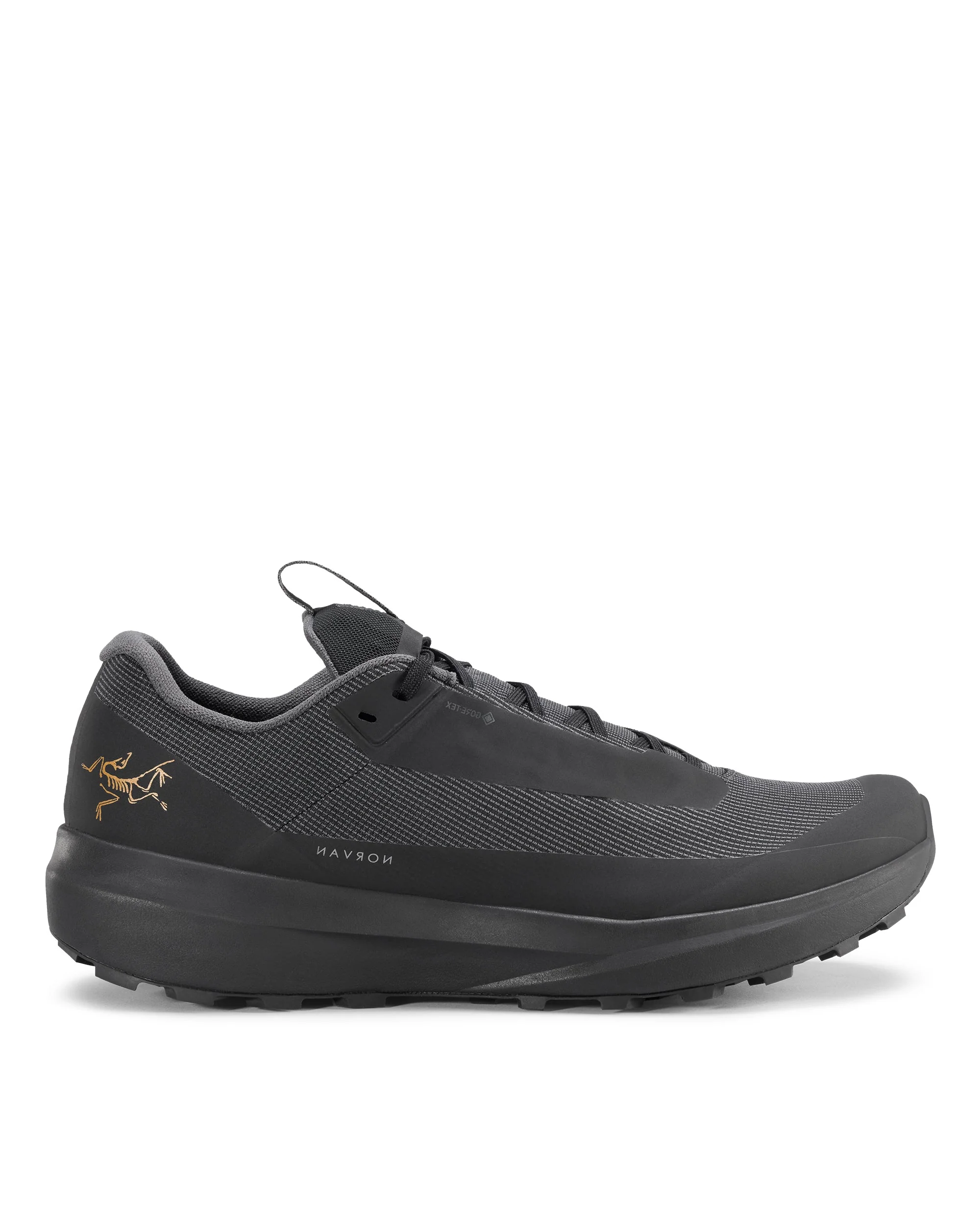Norvan LD 4 GTX Womens - Black/Black