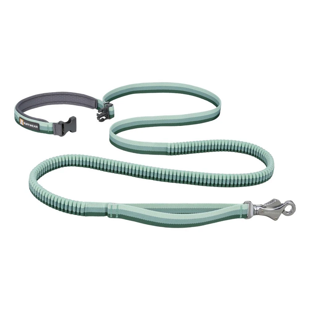 Roamer Leash - River Rock Green