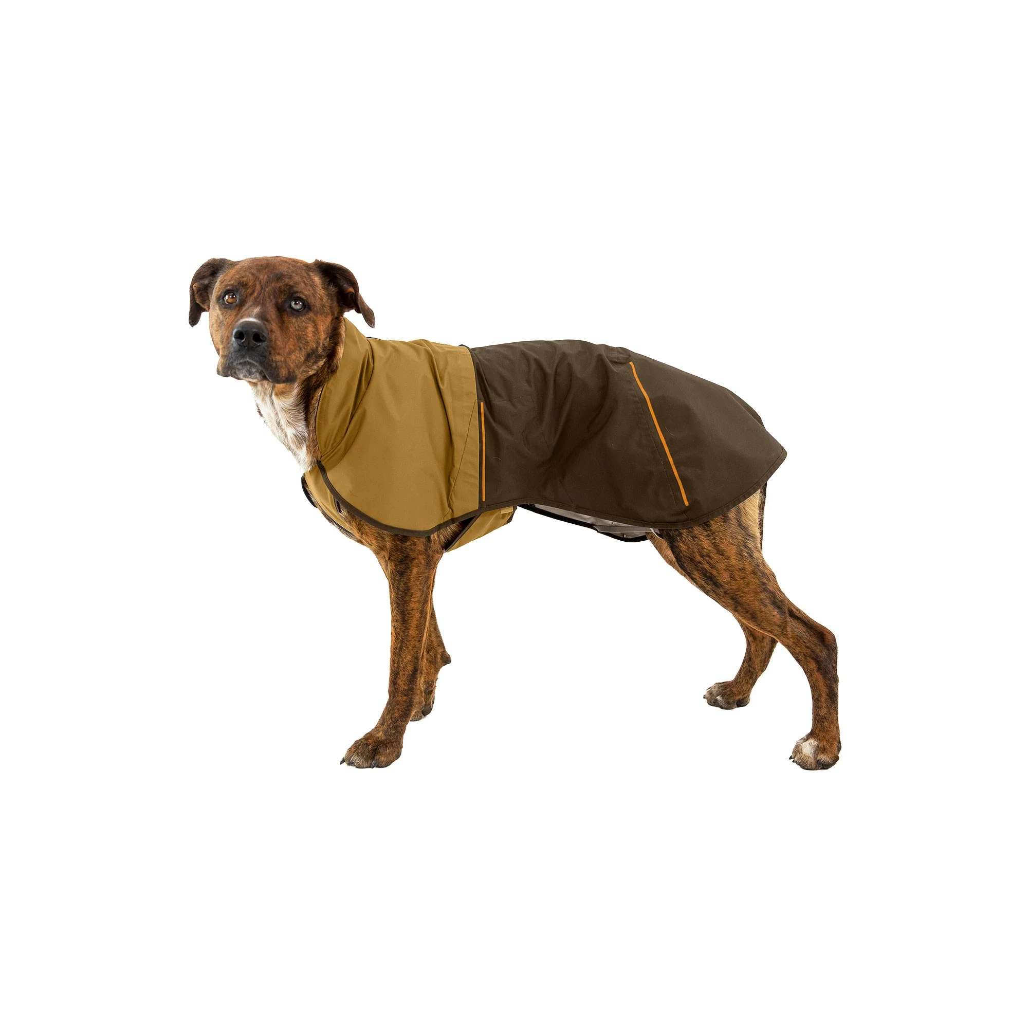 Sun Shower Jacket - Earth Brown - Image 4