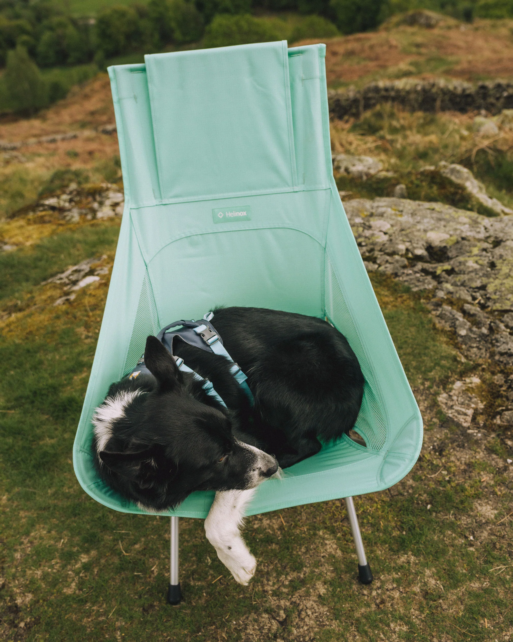 Sunset Chair (Re) - Biscay Green - Image 4
