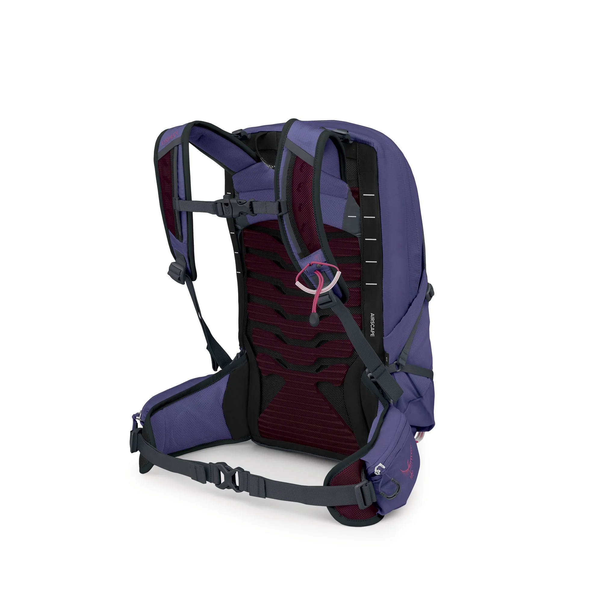 Tempest 11 - Deep Fig Hotspot Pink - Image 3