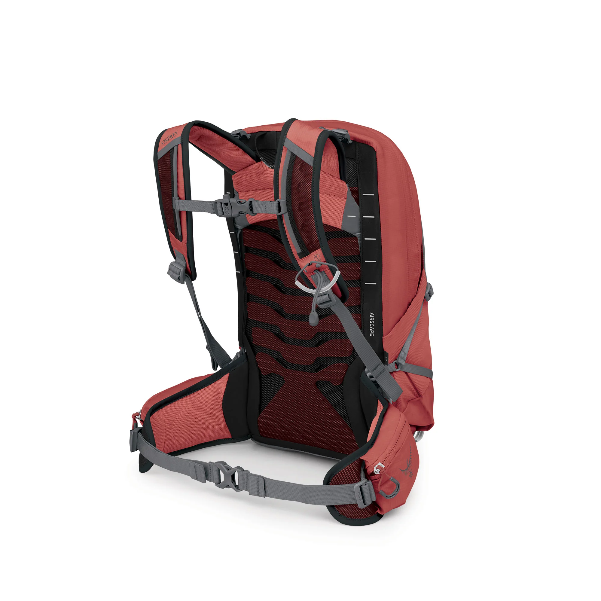 Tempest 11 - Red Pampas Coal Grey - Image 3