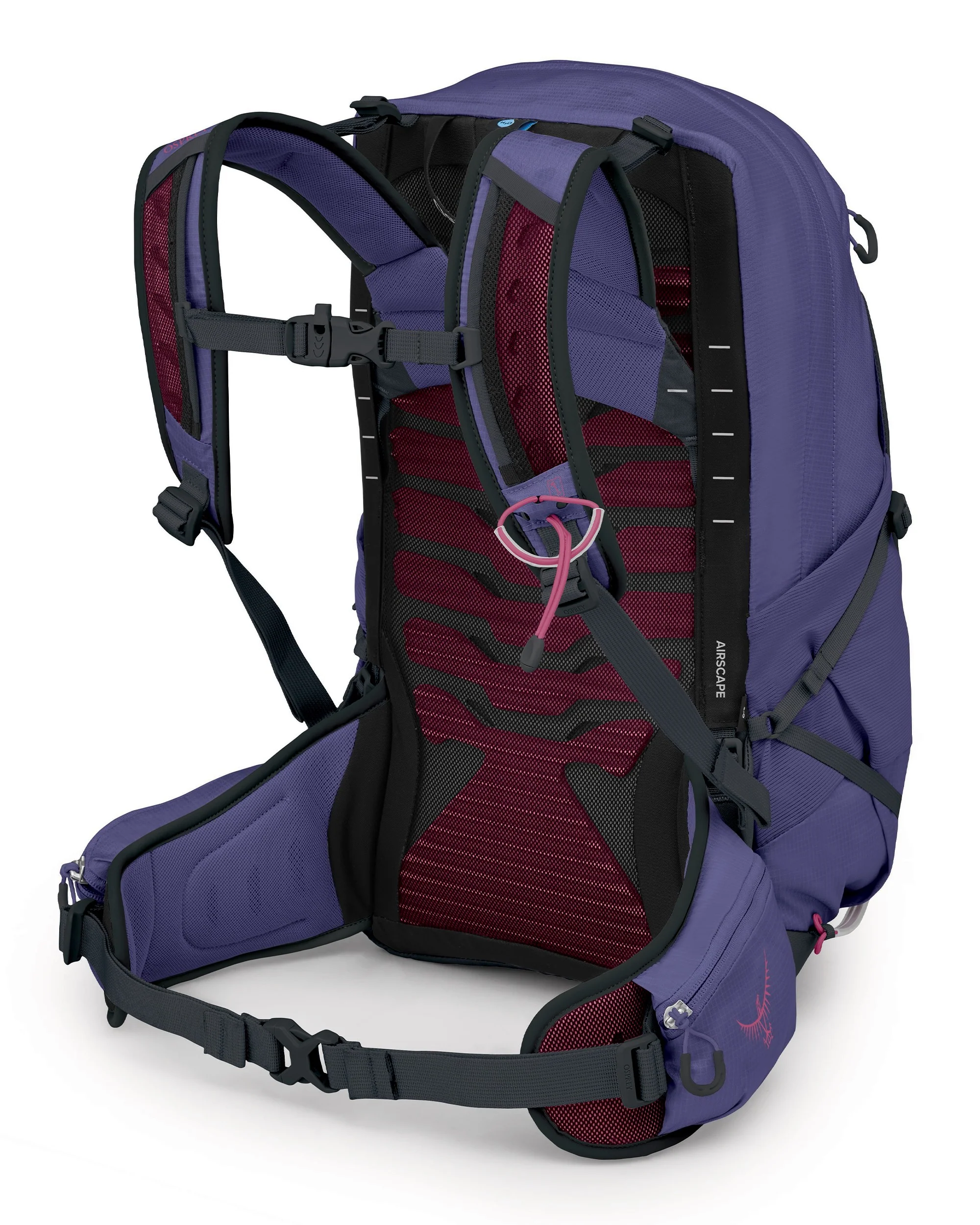 Tempest 22 - Deep Fig Hotspot Pink - Image 2