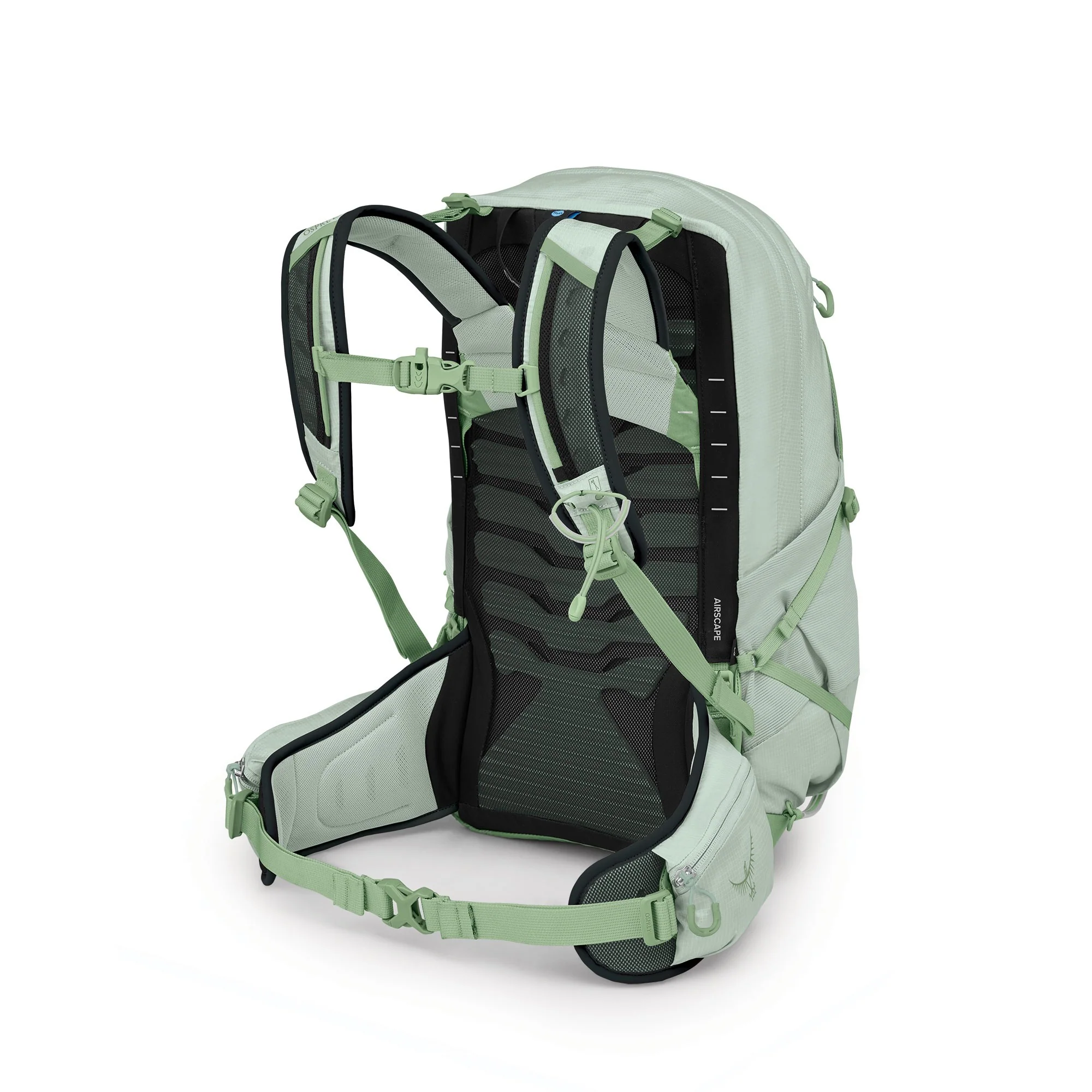 Tempest 22 - Frosty Mint Green Botanica - Image 4