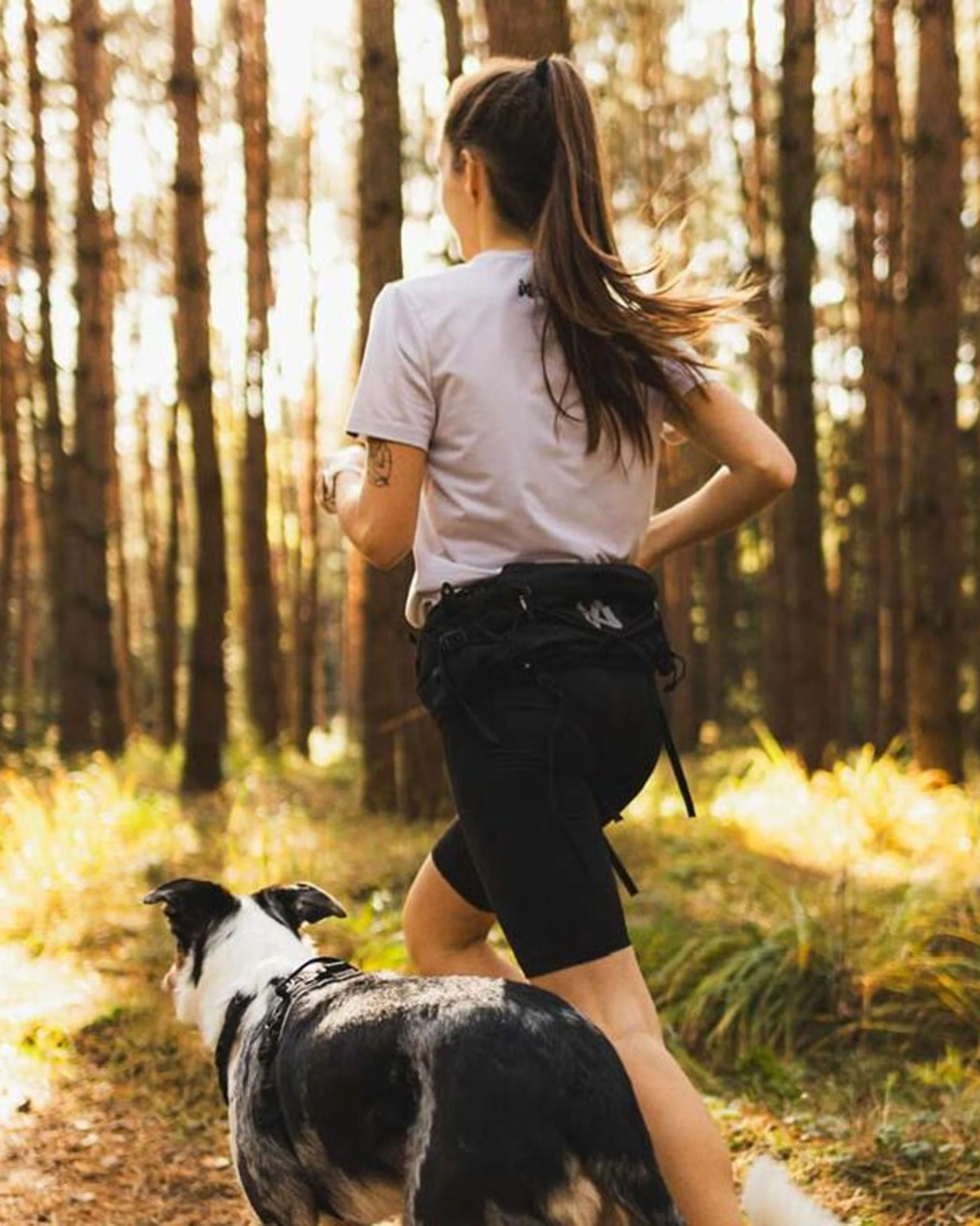 Trail Light Belt - Black - Image 3